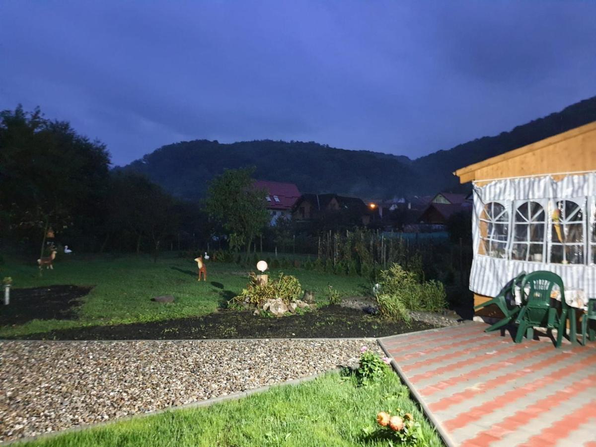 Casa Ella Appartement Sighişoara Buitenkant foto