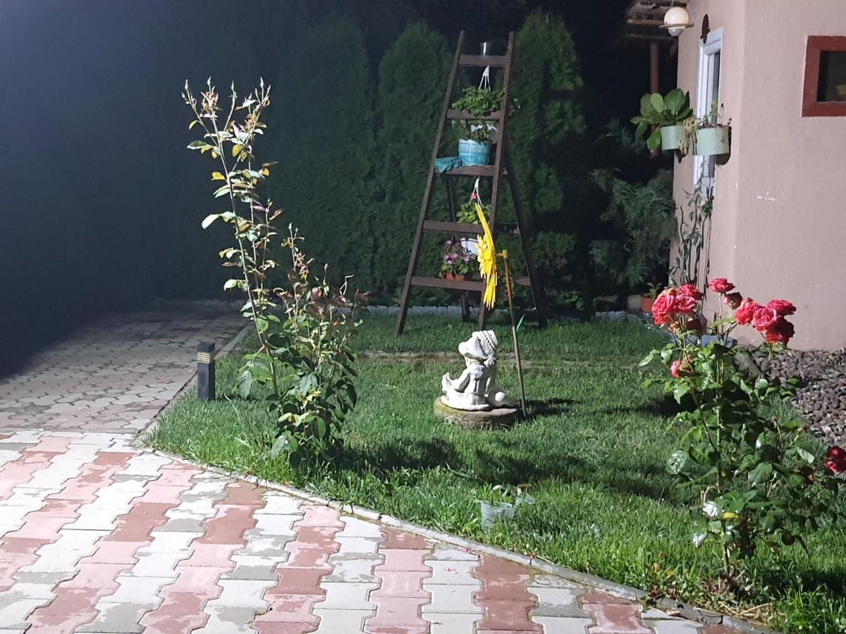 Casa Ella Appartement Sighişoara Buitenkant foto